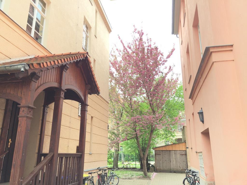 Apartment Altbau